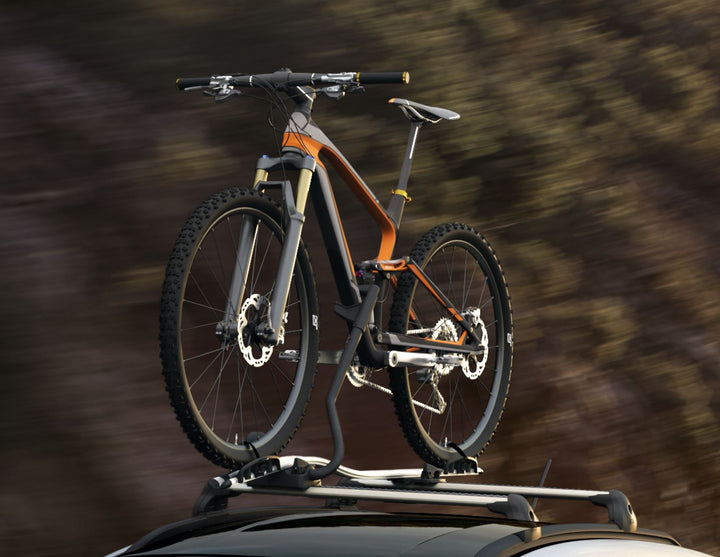THULE®* PORTABICI DA TETTO EXPERT 298