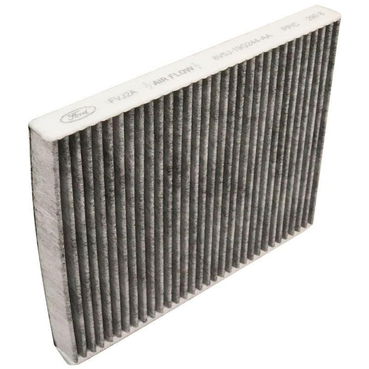 Filtro antipolline abitacolo Fiesta Mk7 Mk8 B-Max EcoSport 1594615