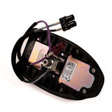 Base di supporto antenna posteriore EcoSport 2018-2023