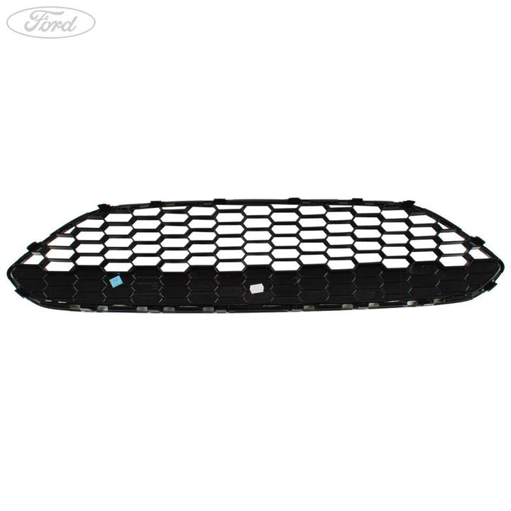 Coperchio griglia anteriore originale FORD Fiesta Mk7 C1BJ 17B968 AB 2040995