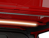 Originale Ford Transit Custom Kit guide airline da tetto illuminate