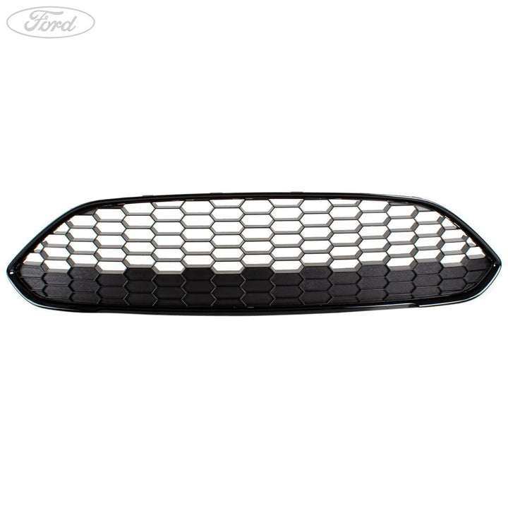 Coperchio griglia anteriore originale FORD Fiesta Mk7 C1BJ 17B968 AB 2040995