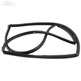 Guarnizione finestrino porta anteriore sinistra originale Ford Fiesta Mk8 2014