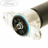 Originale Ford Focus Posteriore SX o DX Ammortizzatore Sospensione 1751388