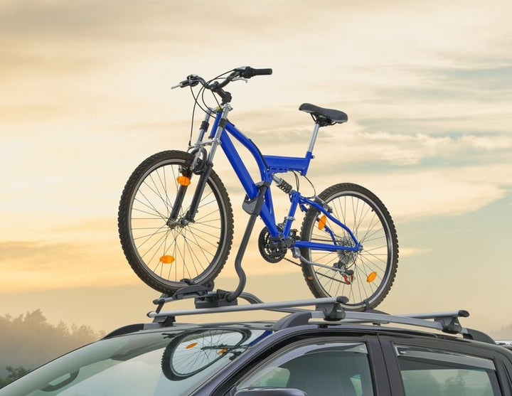 THULE®* PORTABICI DA TETTO EXPERT 298