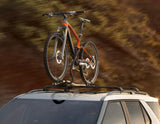 THULE®* PORTABICI DA TETTO EXPERT 298