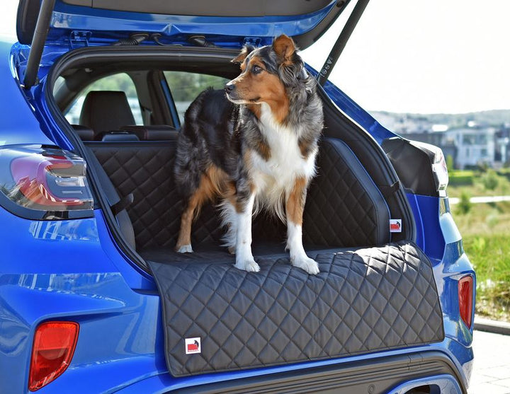 Puma padsforall®* Rivestimento bagagliaio per trasporto animali domestici  similpelle nera con profilo blu, misura: XS 2019-