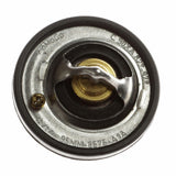 Termostato e guarnizione motore a benzina Fiesta Focus Puma 1995-2004