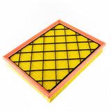 Cartuccia filtro aria Ranger 2.0 EcoBlue 2019-2023
