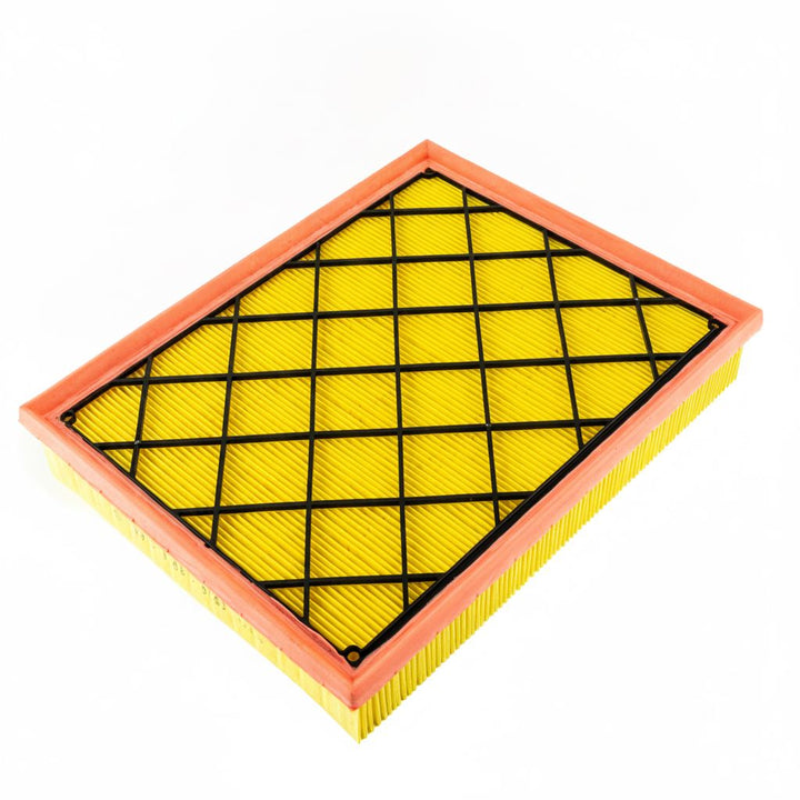 Cartuccia filtro aria Ranger 2.0 EcoBlue 2019-2023