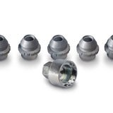 Originale Ford EcoSport/Bronco Kit bulloni antifurto per cerchi in lega