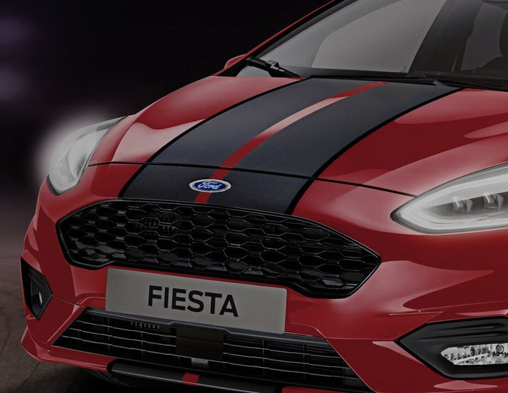 FIESTA STRISCE DECORATIVE CON DISPOSITIVI DI FISSAGGIO A PARTIRE DA 09/2018