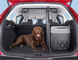 FOCUS GRIGLIA DIVISORIA PER TRASPORTO ANIMALI CON DISPOSITIVI DI FISSAGGIO DAL 01/2011 AL 07/2015