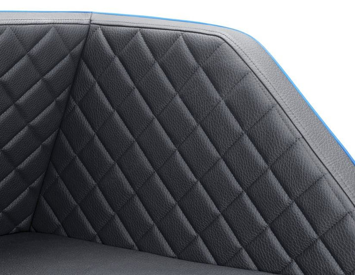 Puma padsforall®* Rivestimento bagagliaio per trasporto animali domestici  similpelle nera con profilo blu, misura: XS 2019-