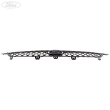 Griglia originale Ford Fiesta 2005-2008  1373755