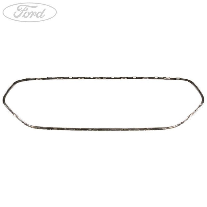 Griglia originale Ford Transit Connect Mk2 cromata 13- 1897687