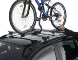 THULE®* PORTABICI DA TETTO EXPERT 298