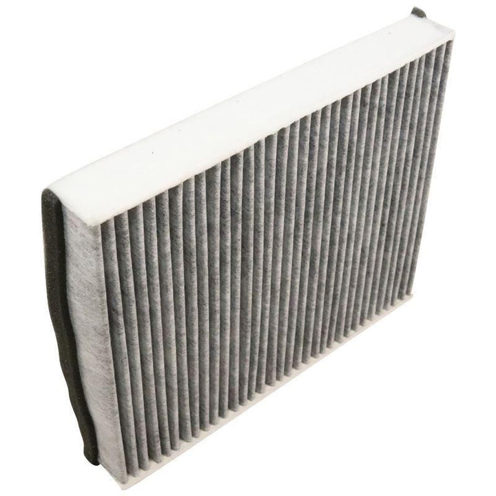 Filtro antipolline interno originale FORD C-MAX Focus Kuga 1709013