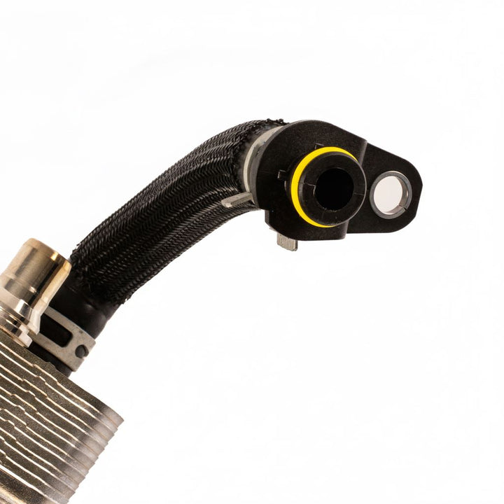 Filtro e radiatore olio 2.0 Duratorq TDCi 2016-2022