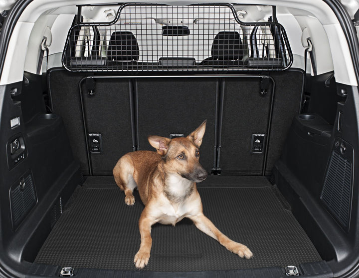 Originale Ford S-MAX Griglia divisoria per trasporto animali mezza altezza