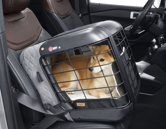 4PETS®* BOX DA TRASPORTO CAREE PER CANI E GATTI, DA FISSARE SALDAMENTE SU QUALSIASI SEDILE PASSEGGERI, COOL GREY