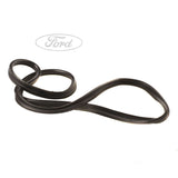 Guarnizione originale per portellone posteriore FORD Fiesta MK7 1747419