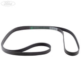Cinghia Trapezoidale Originale Ford Ranger 3.2 Duratorq TDCi/tras. aux 09/2015- 1885700