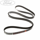 Cinghia di trasmissione originale Ford 3.2L Duratorq 1720653