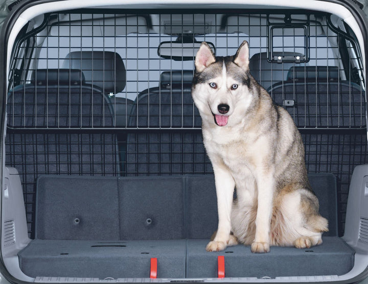 Originale Ford Galaxy Griglia divisoria per trasporto animali altezza piena