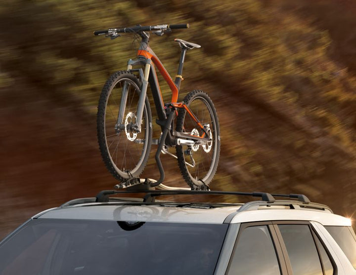 THULE®* PORTABICI DA TETTO EXPERT 298