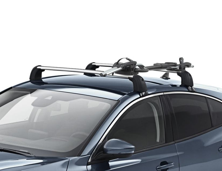 THULE®* PORTABICI DA TETTO EXPERT 298