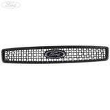 Originale Ford Fiesta Fusion griglia superiore anteriore grigio medio 1530207