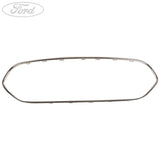 Griglia originale Ford Transit Connect Mk2 cromata 13- 1897687