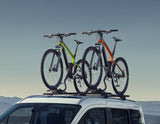THULE®* PORTABICI DA TETTO EXPERT 298
