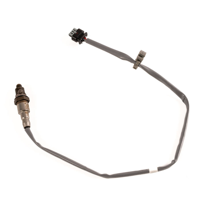 Sonda lambda Focus 1.0 EcoBoost 2018+