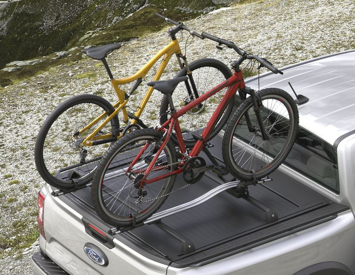 THULE®* PORTABICI DA TETTO EXPERT 298
