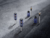 Originale Ford Fiesta® Kit di sospensione coilover In acciaio inox con molle verniciate a polvere in colore blu Ultramarine