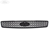 Originale Ford Fiesta Fusion griglia superiore anteriore grigio medio 1530207